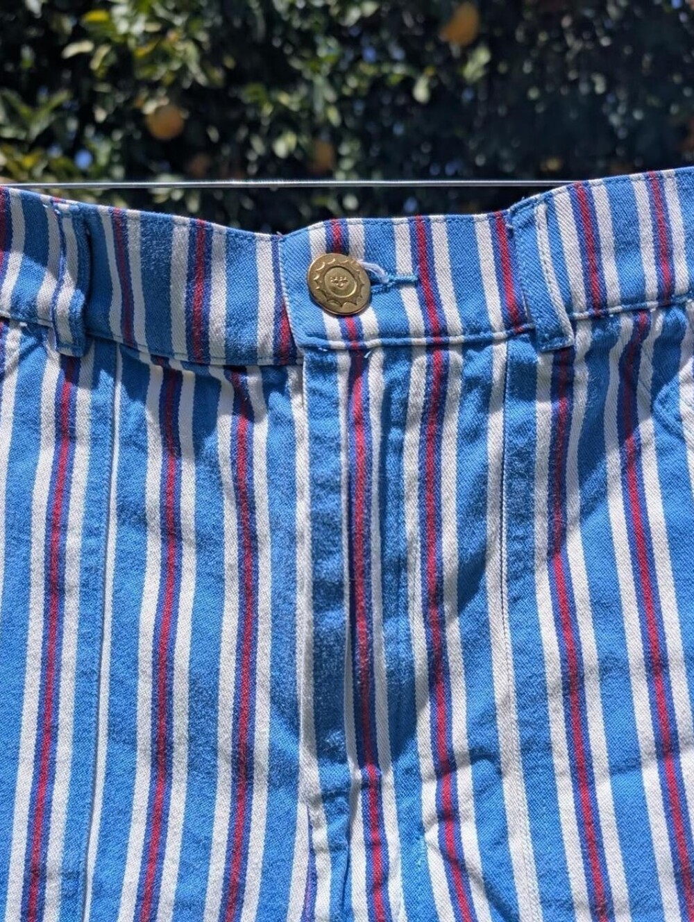 Big Bud Press Striped Work Pants - Picture 3 of 8